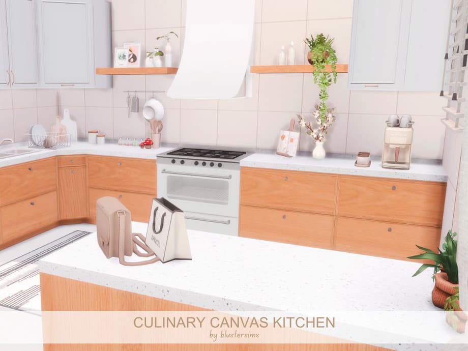 Кухня Culinary Canvas Kitchen (CC лот) — кадр 2