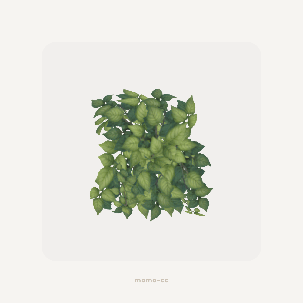 Набор уличных растений Blooming Vines — кадр 2