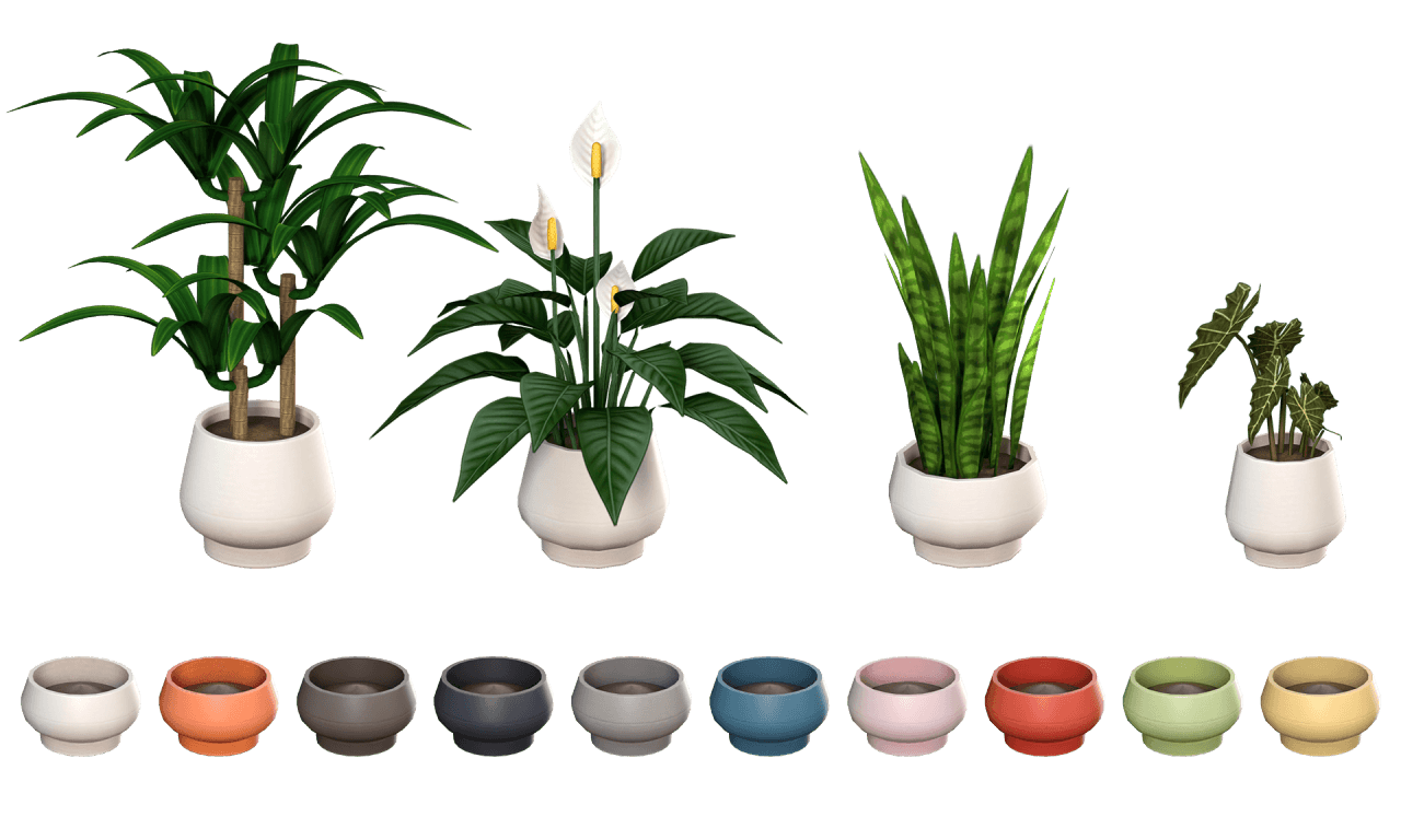 Комнатные цветы в горшках Tropico Plants — кадр 2